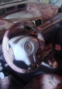 Citroen C3 Picasso by Luisa Beccaria             